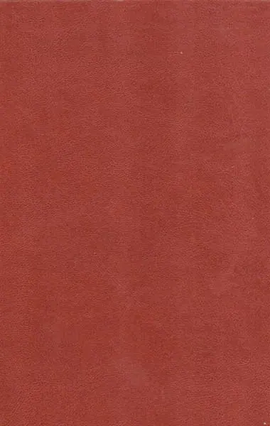 نقشی از حافظ